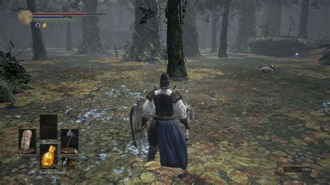 dark souls 3 swamp.